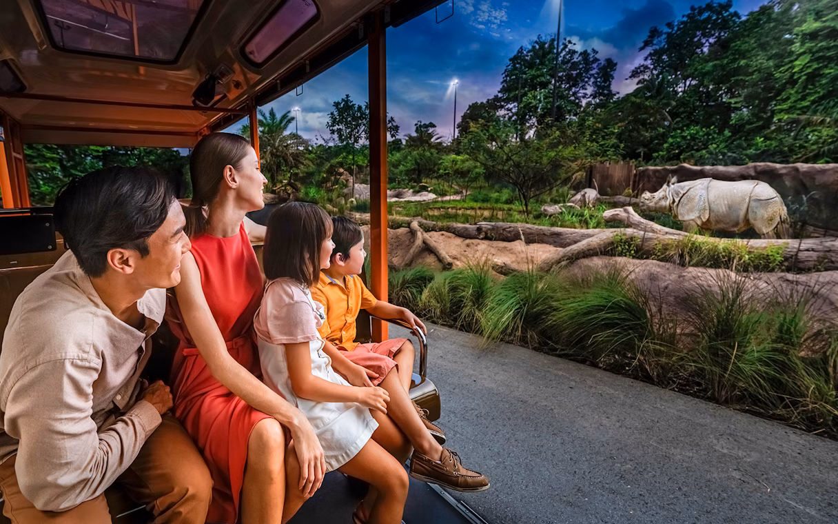 Night Safari singapore
